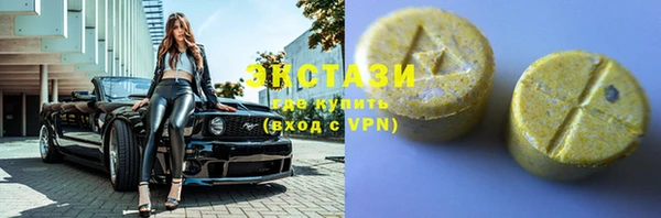 ECSTASY Бородино