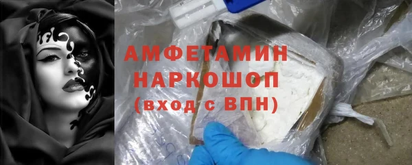 ECSTASY Бородино