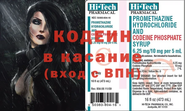 ECSTASY Бородино
