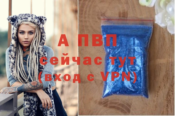 ECSTASY Бородино