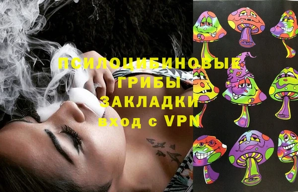 ECSTASY Бородино