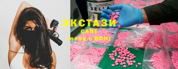 ECSTASY Бородино